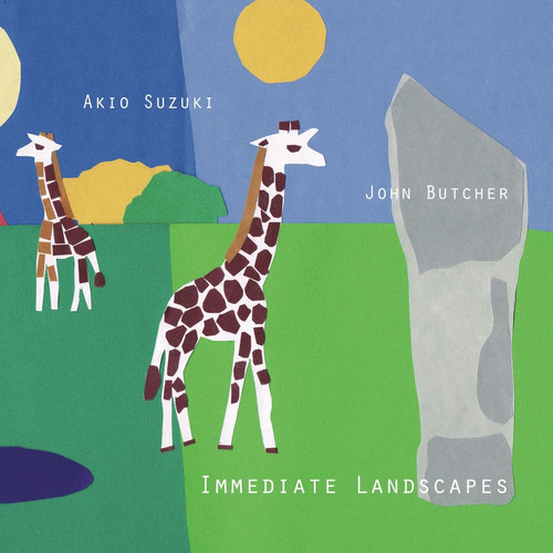 Immediate Landscapes