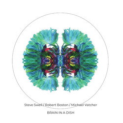 Brain In a Dish