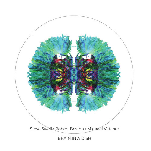 Brain In a Dish