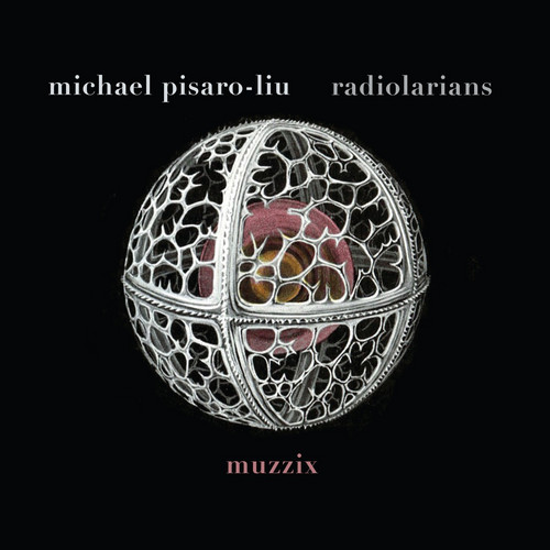 Michael Pisaro​-​Liu: Radiolarians