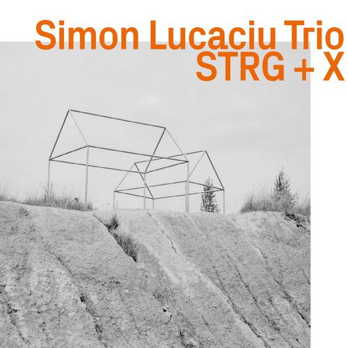 STRG + X
