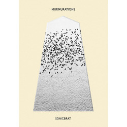 Murmurations