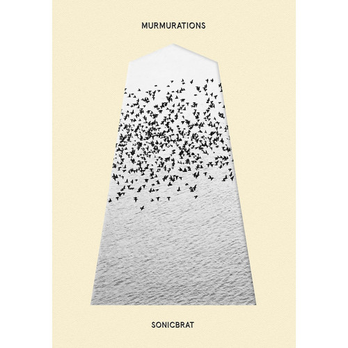 Murmurations