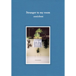 Stranger To My Room