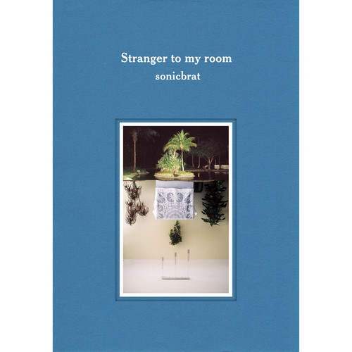 Stranger To My Room