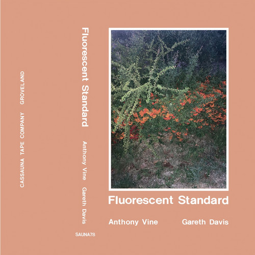 Flourescent Standard 