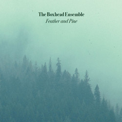  Feather and Pine 