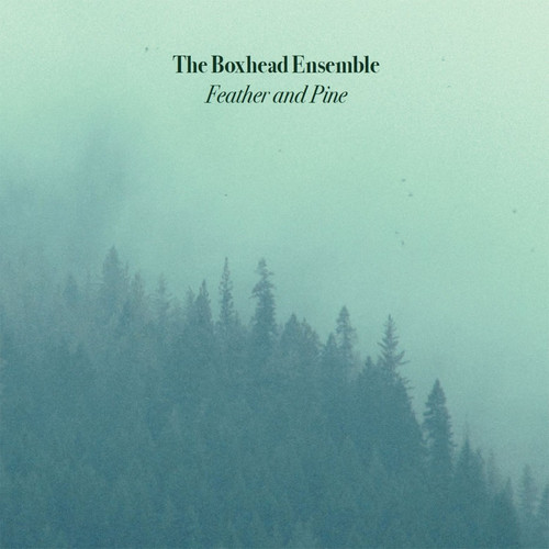  Feather and Pine 