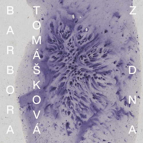 z DNA 