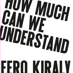  How Much Can We Understand 