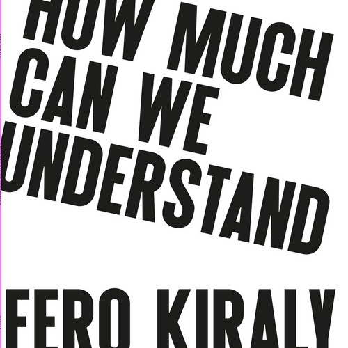  How Much Can We Understand 