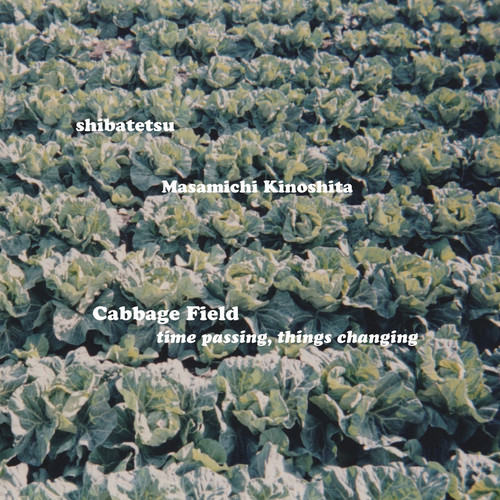  Cabbage Field: time passing, things changing 