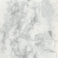 Rootless