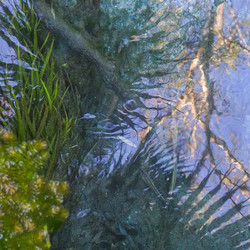 In all her forms (sound meditations vol. 2)