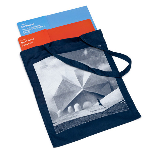 Anima Pepsi + The Days Pass Quickly (2LP Bundle)