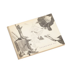 Soundings XVI (book)