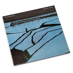 Twilight Fields (LP)
