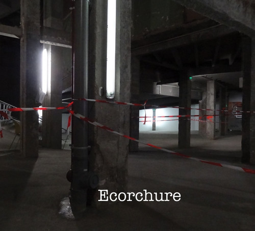 Ecorchure