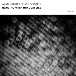  Dancing with Dragonflies 