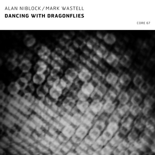  Dancing with Dragonflies 