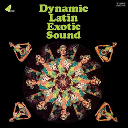 Dynamic Latin Exotic Sound