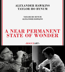  A Near Permanent State Of Wonder 