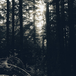I Still Look For The Mountains