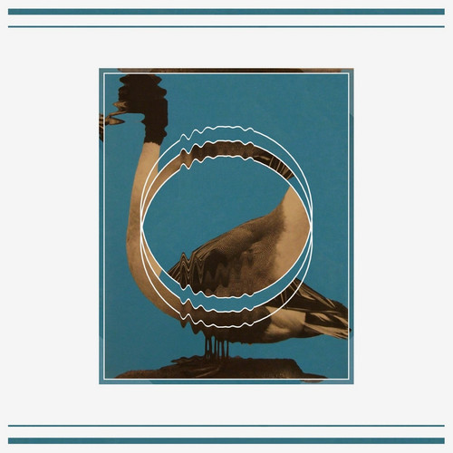 Mangé Par Les Oiseaux