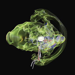 Psychoacoustic Electronics
