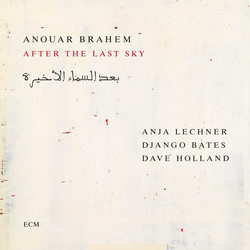 After the Last Sky