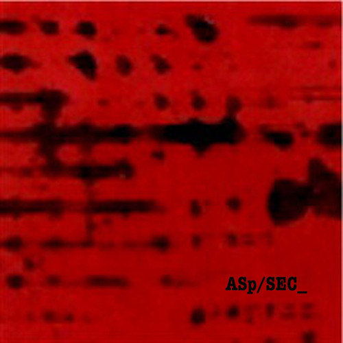 ASp/SEC_ 