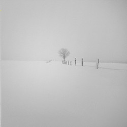 The Middle Distance