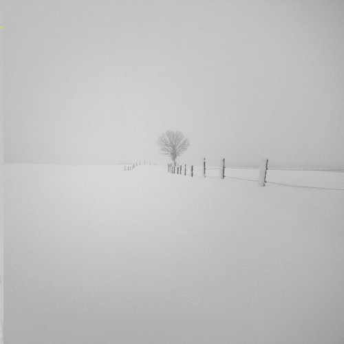 The Middle Distance