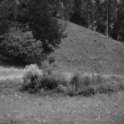 Longing Landscape