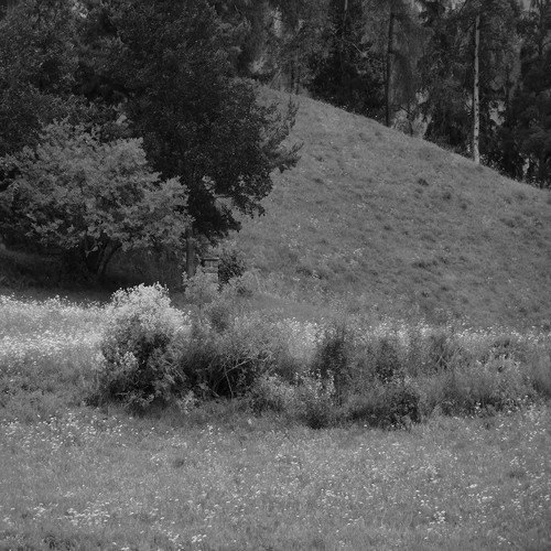 Longing Landscape