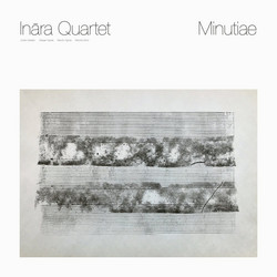  Minutiae 