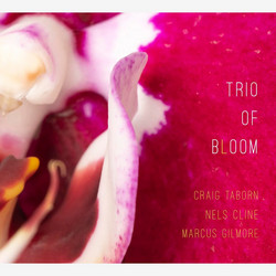  Trio of Bloom 