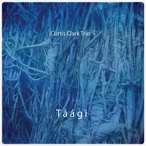 Taagi