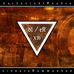 XIB