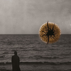 Echoes of Impermanence