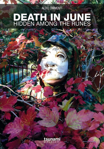 Hidden Among the Runes (Book)