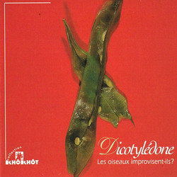 Les Oiseaux Improvisent-ils?