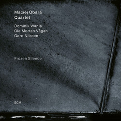 Frozen Silence