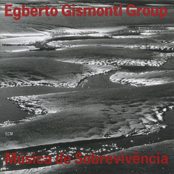 Música de Sobrevivência