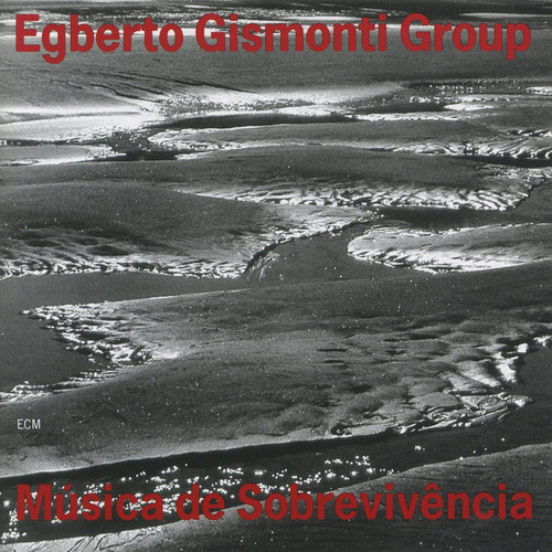 Música de Sobrevivência