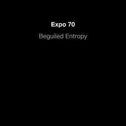 Beguiled Entropy