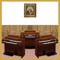 Just 3 Organs