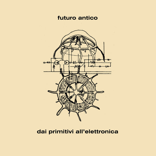 Dai Primitivi all'Elettronica