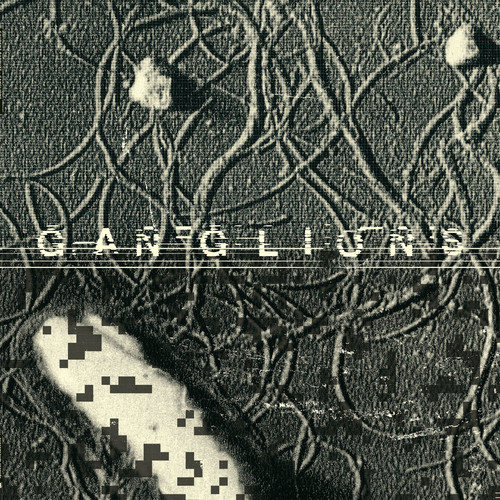 Ganglions