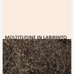 Moltitudine in Labirinto